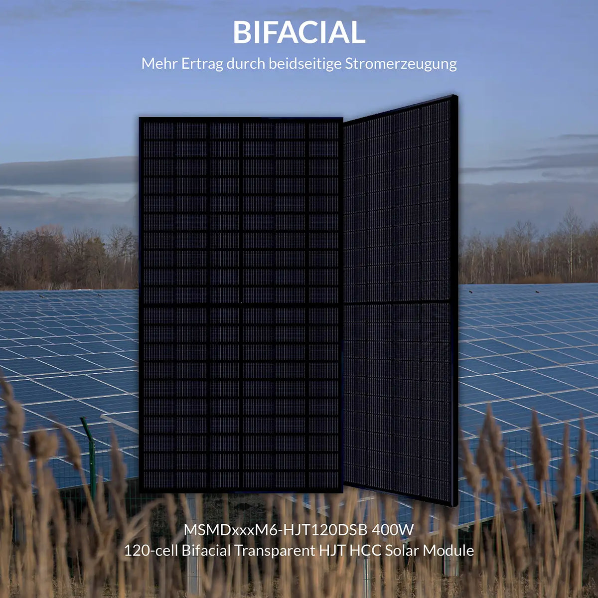 400W MSMDxxxM6-HJT120DSB Bifazial Solarmodul 1038 mm Breite x 36 (1xPalette)